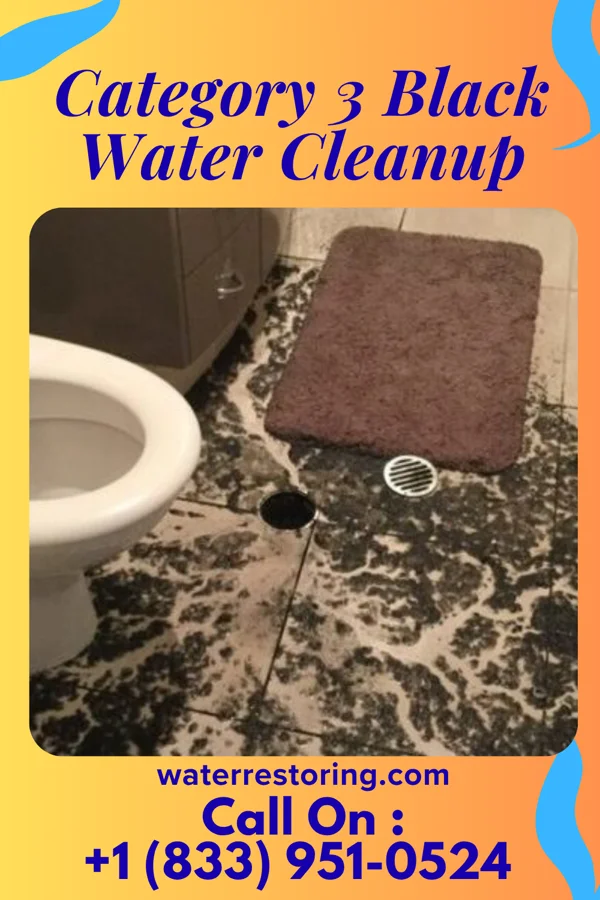 Category 3 Black Water Cleanup in Lamington, NJ