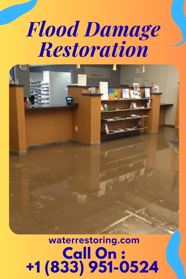 Flood Damage Restoration in Lamington, NJ
