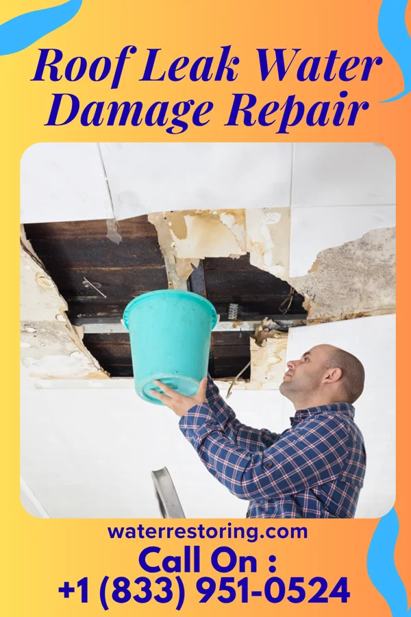 Roof Leak Water Damage Repair in Lamington, NJ
