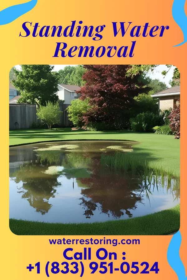 Standing Water Removal in Lamington, NJ